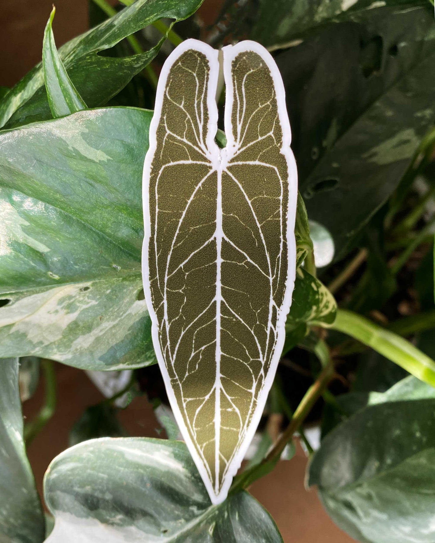 'warocqueanum' - Sticker