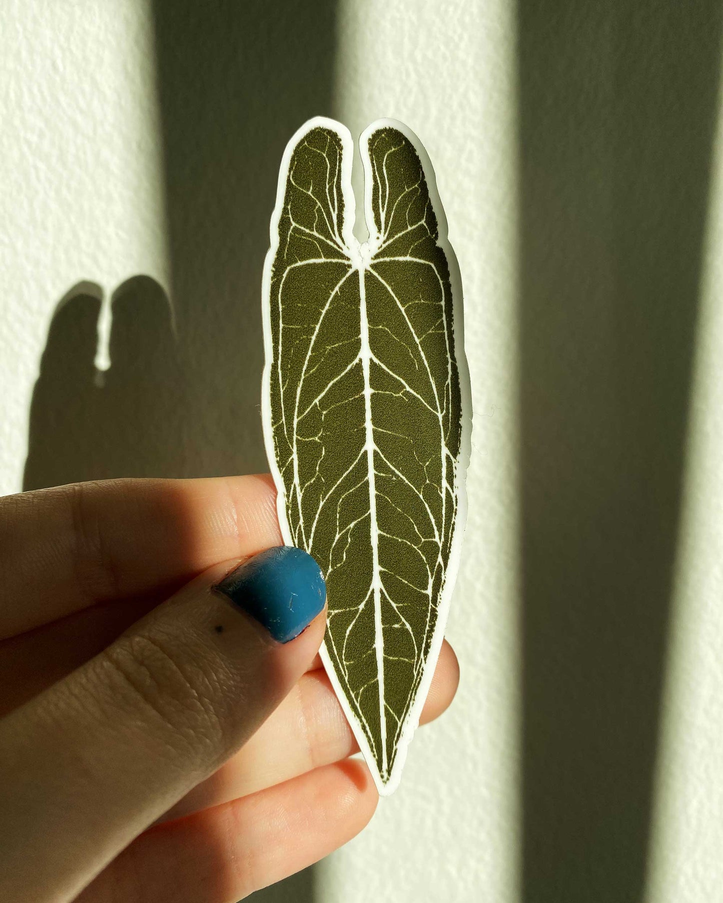 'warocqueanum' - Sticker