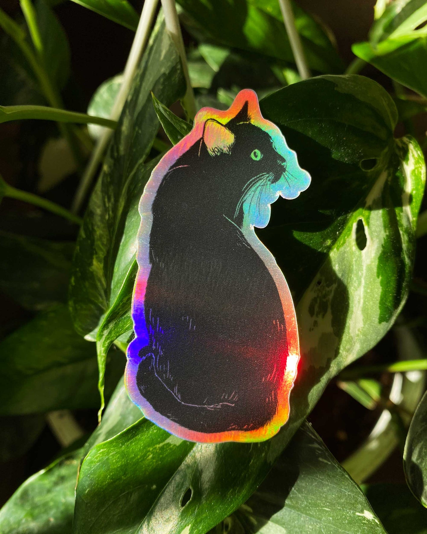 Bird & Cats in Paradise – Holographic Sticker