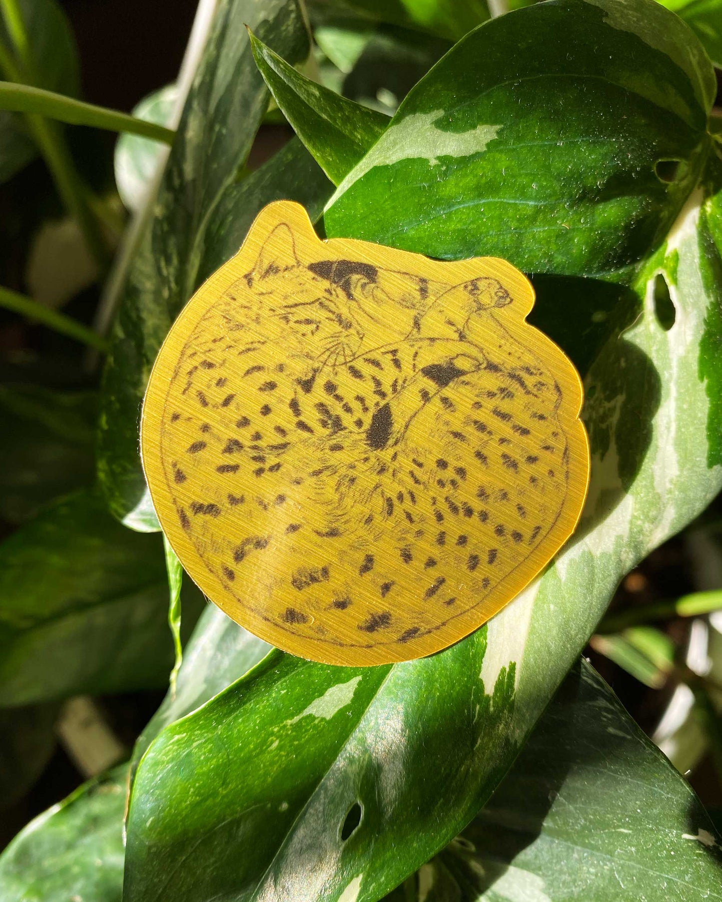 Gold Crescent Cat Sticker