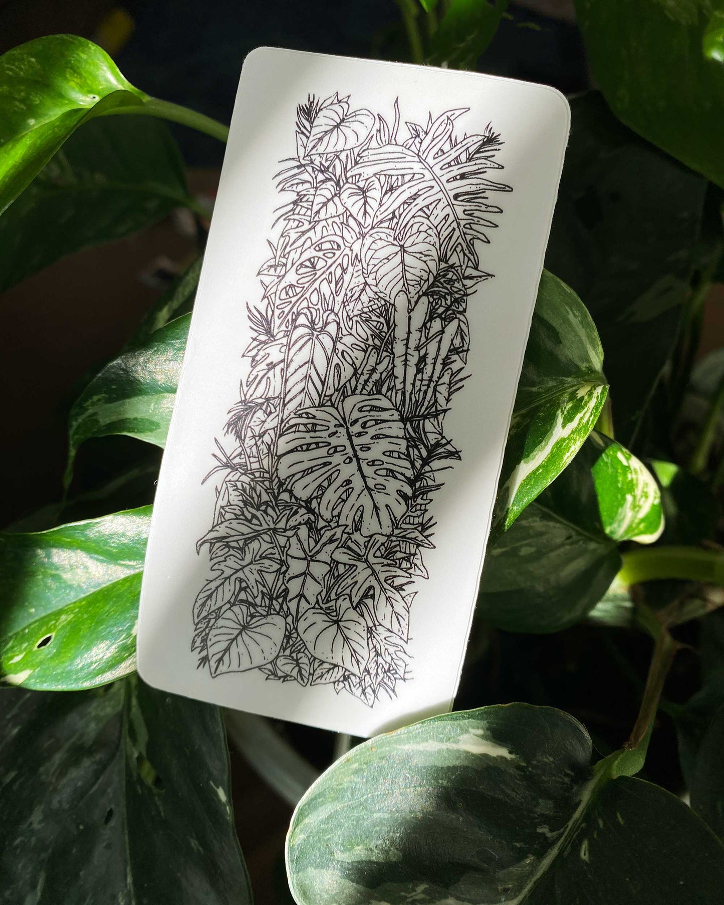 'Jungle' - Sticker