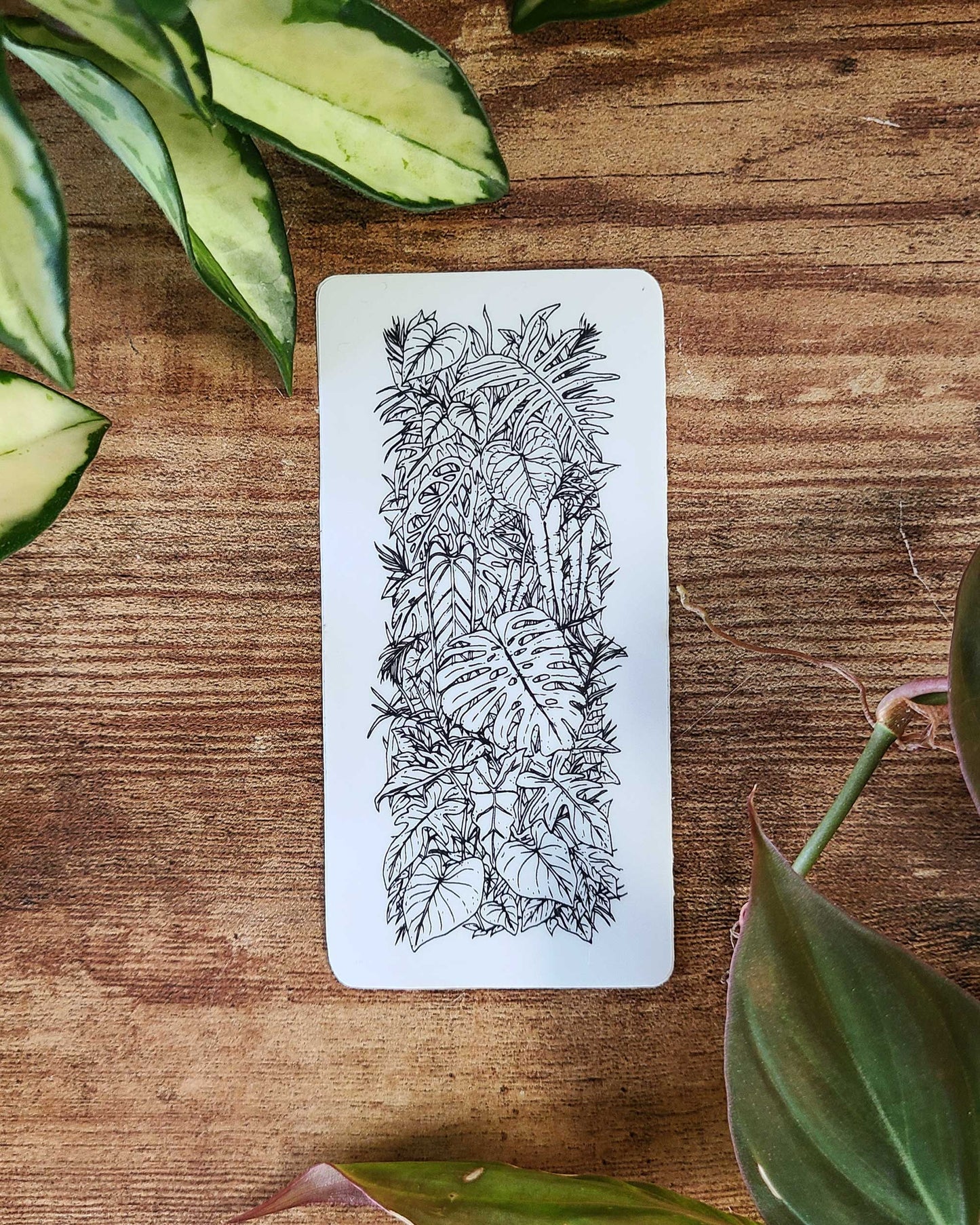 'Jungle' - Sticker