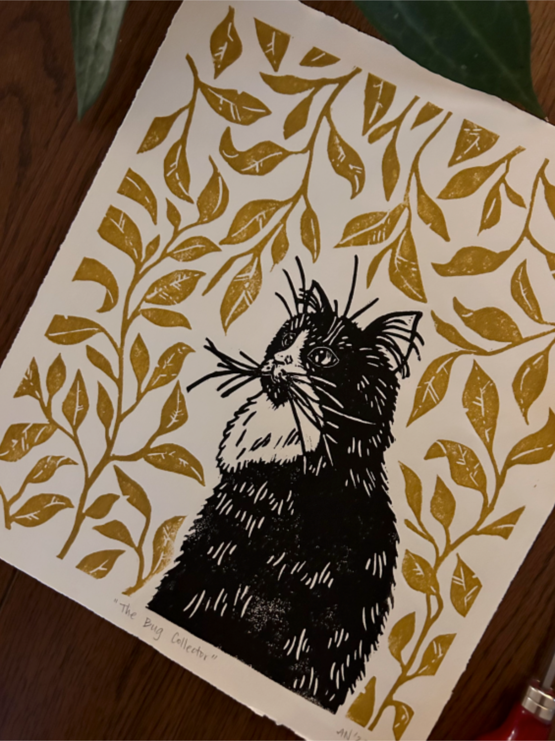 'The Bug Collector' Print