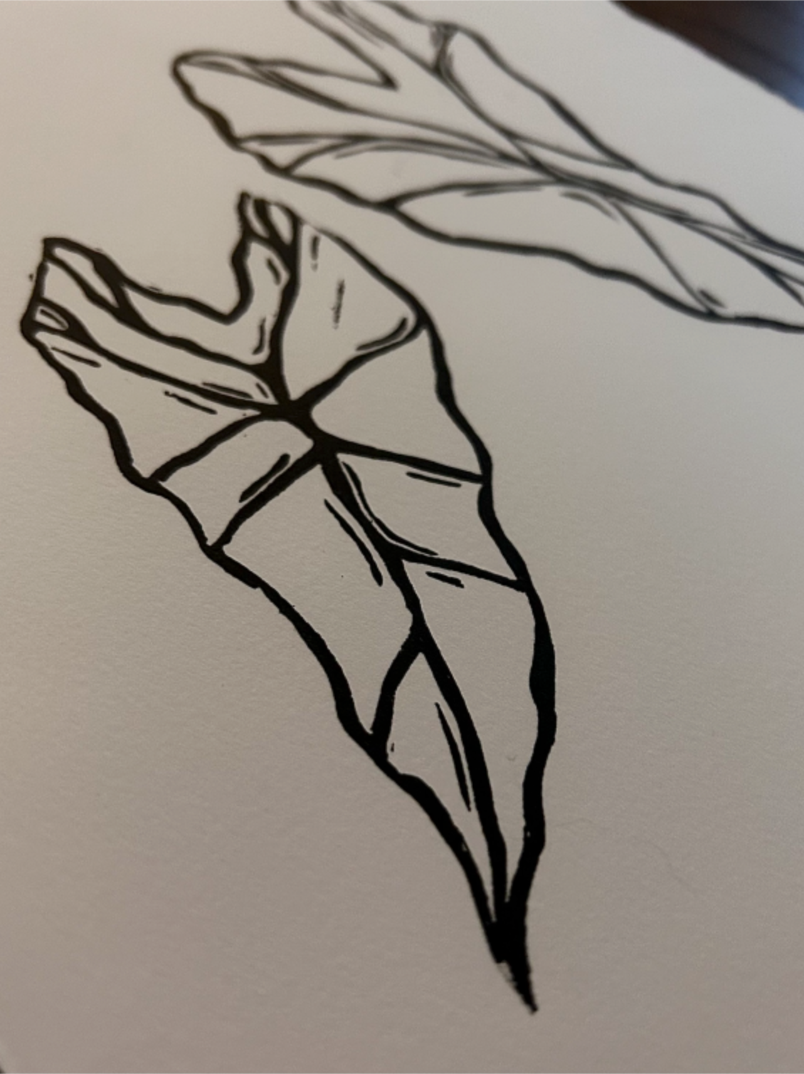 'Amazonica' Print