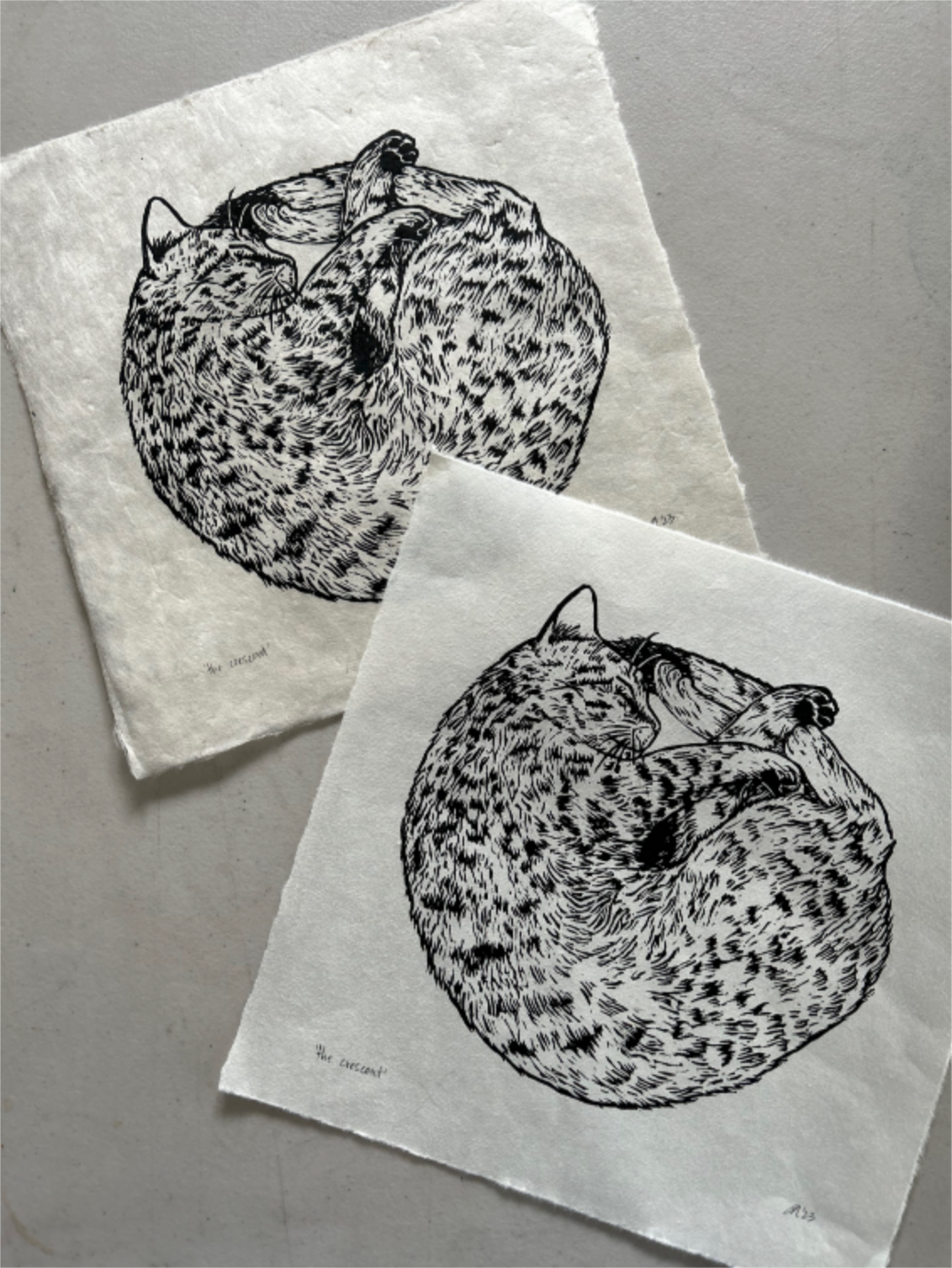 'the crescent' print