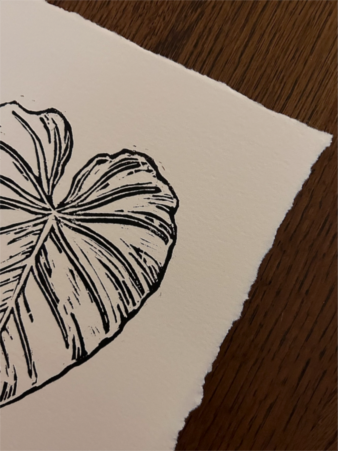 'philodendron gloriosum' print