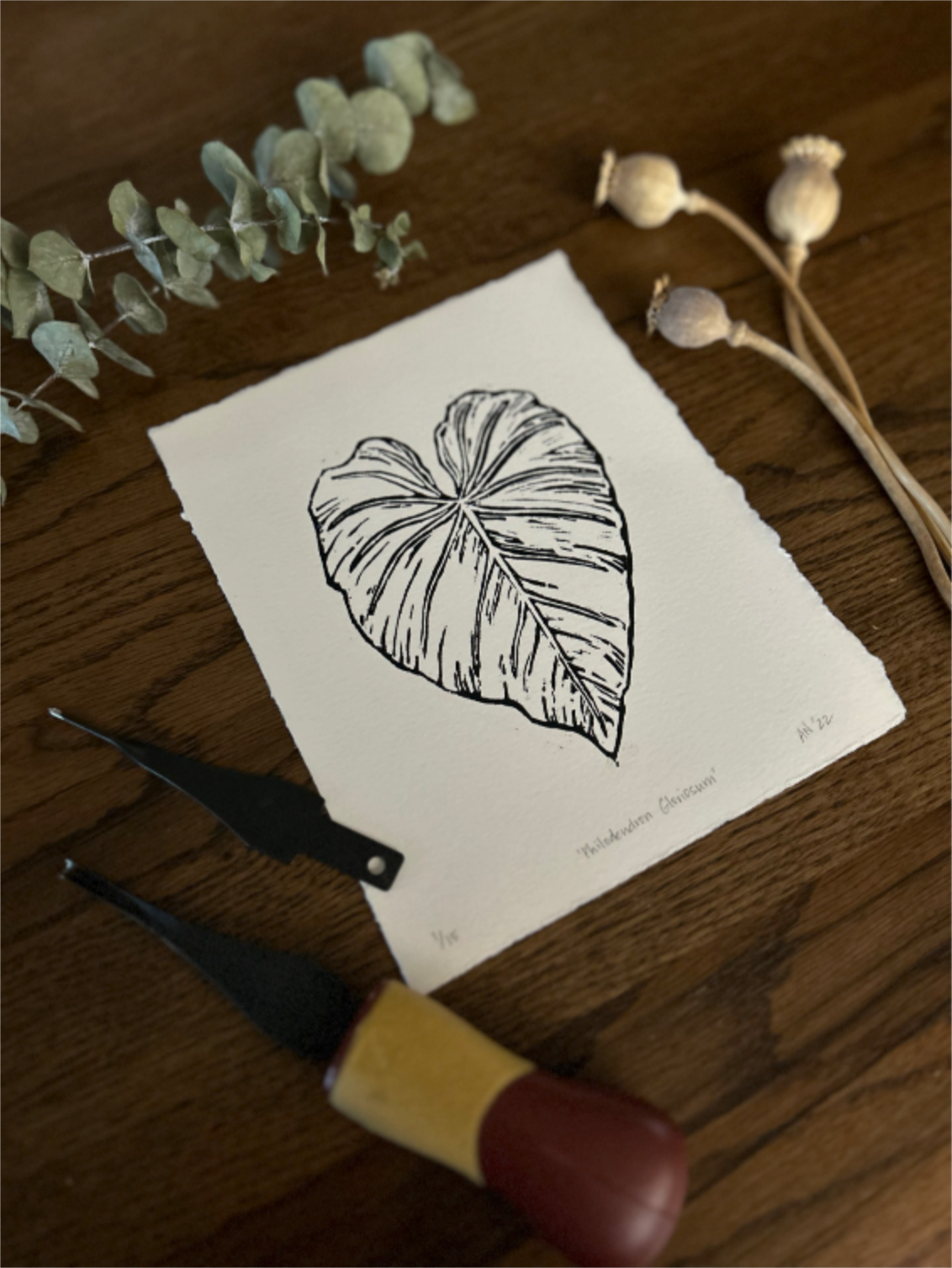 'philodendron gloriosum' print