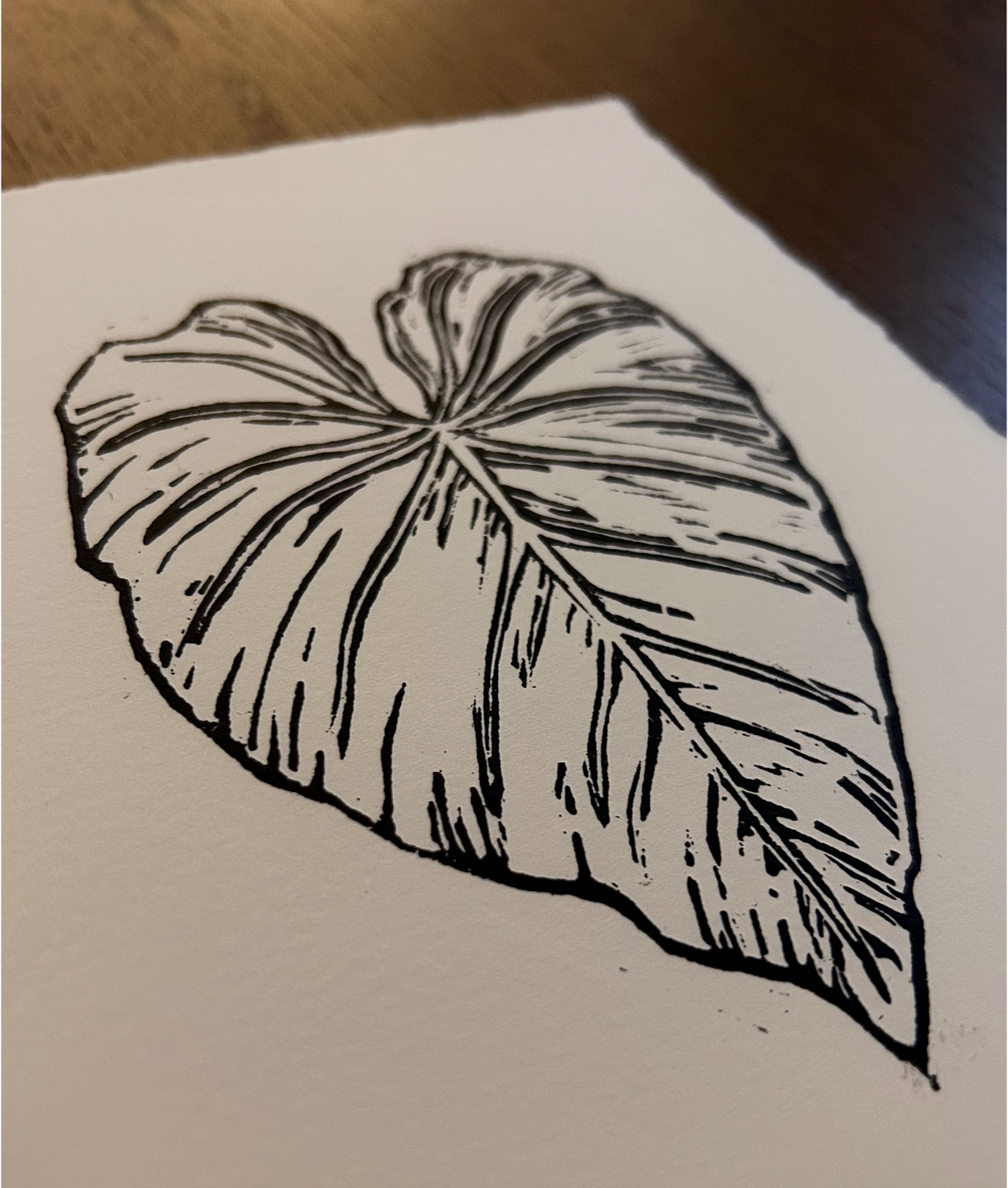 'philodendron gloriosum' print