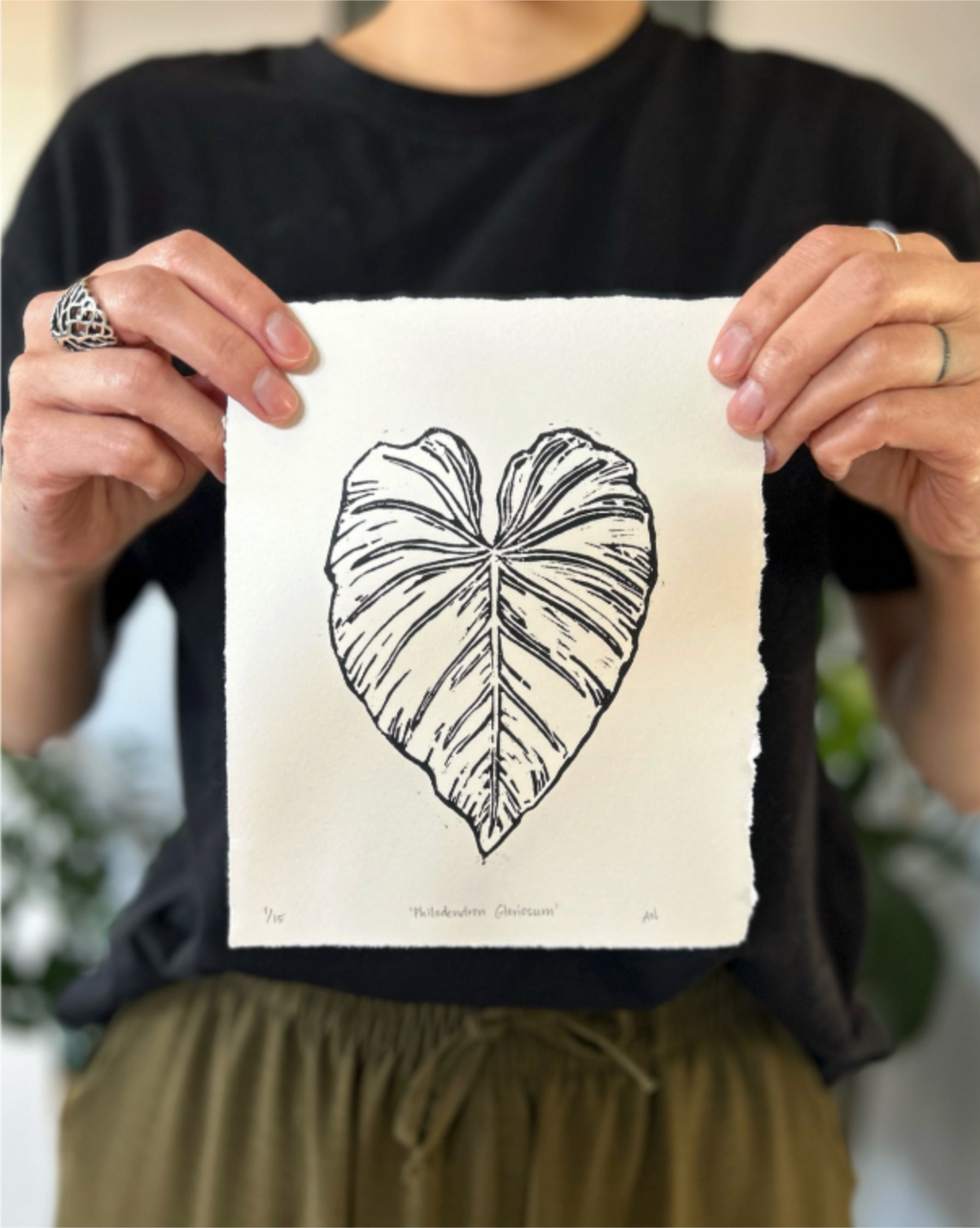 'philodendron gloriosum' print