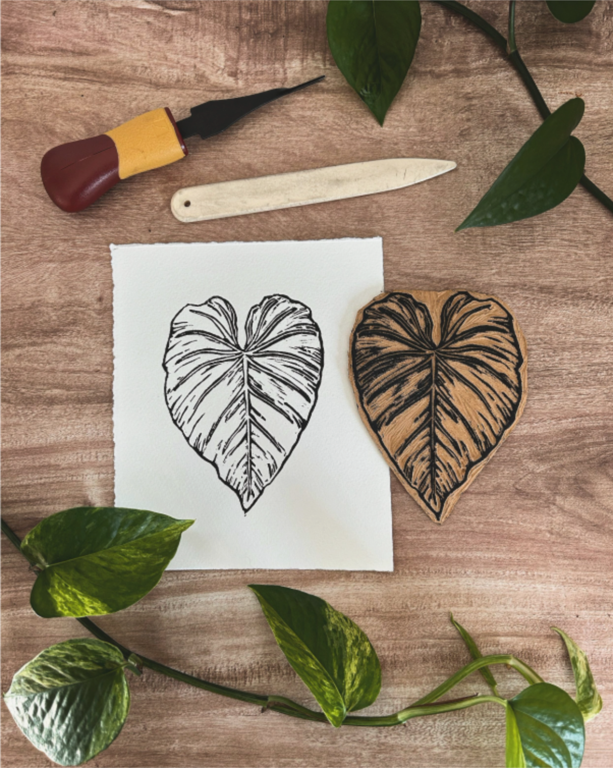 'philodendron gloriosum' print