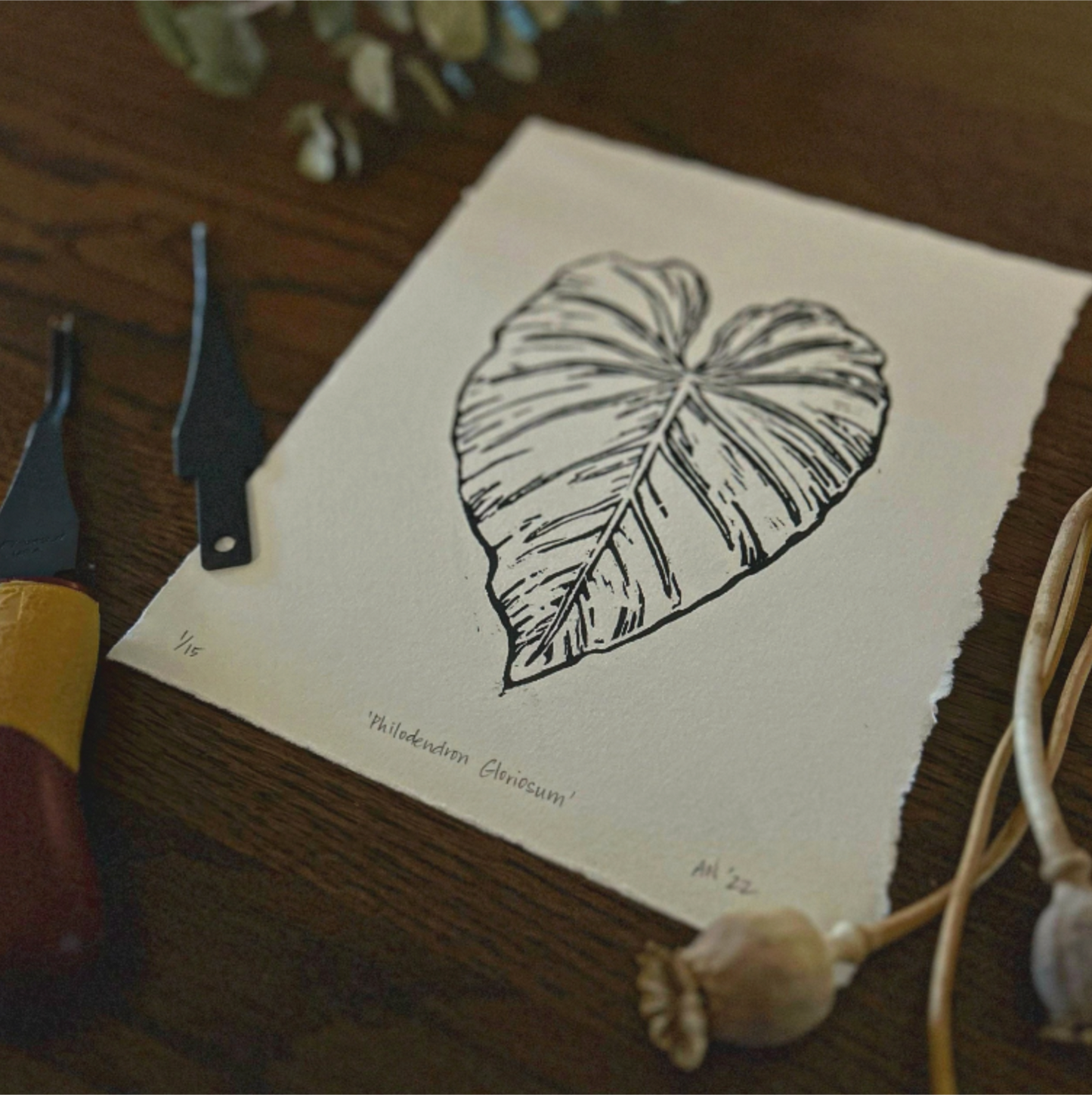 'philodendron gloriosum' print